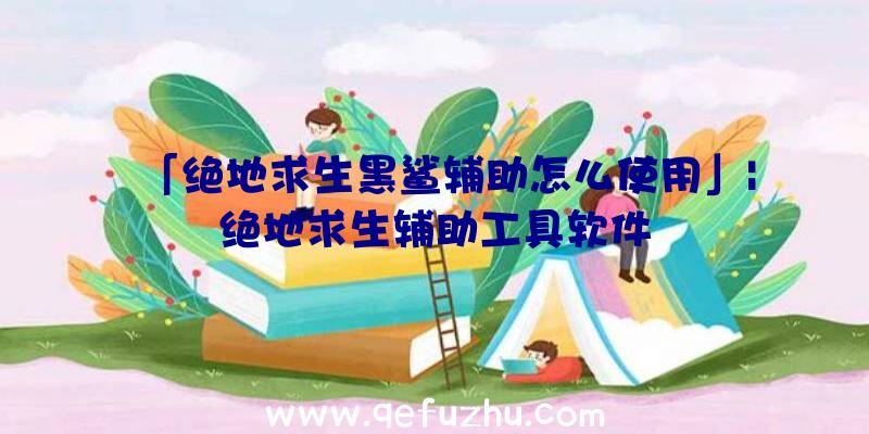 「绝地求生黑鲨辅助怎么使用」|绝地求生辅助工具软件